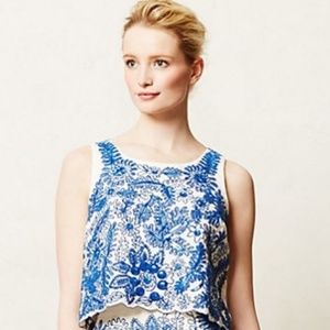 Anthro x Moulinette Soeurs Bleuet Embroidered top